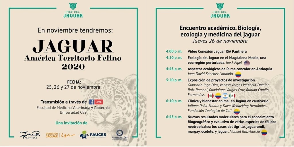 This image has an empty alt attribute; its file name is 2020.jpg