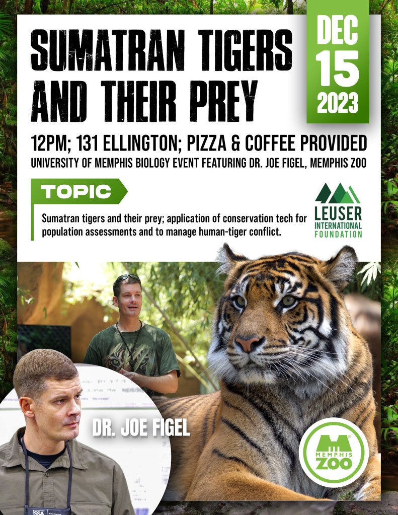 This image has an empty alt attribute; its file name is memphis-zoo-sumatran-tigers-joe-figel-dec2023-2.jpg